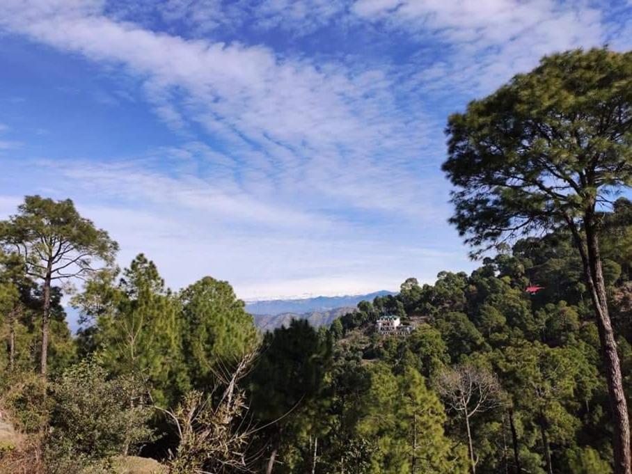 The Asgard Kasauli Bed and Breakfast Buitenkant foto