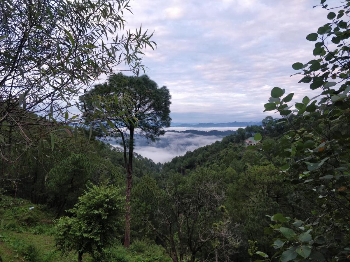 The Asgard Kasauli Bed and Breakfast Buitenkant foto